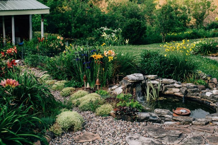 Jardinería con piedras: cómo decorar tu jardín de manera creativa y sencilla 🌿💎